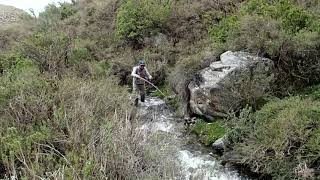 Pesca de salvelinos en pequeño arroyo de Mendoza [upl. by Hinkle]