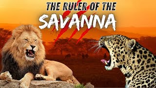 AFRICAN SAVANNA  Land of the Most Brutal Predators  Animal Documentaries [upl. by Dnalyk]