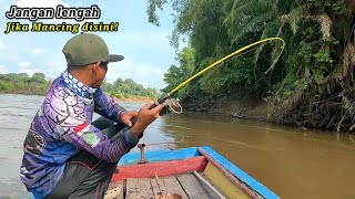 BENAR² DAHSYAT Tarikan Ganas ikan Baung Seperti Ini selalu membuat pemancing jantungan [upl. by Enialehs]