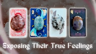 How They’re Currently Feeling About You😻❤️ Pick a Card Timeless InDepth Love Tarot Reading [upl. by Helm710]