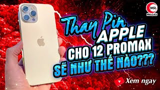 Thay pin chính hãng Apple cho iphone 12 promax sẽ như nào tốn bao nhiêu [upl. by Farrington882]