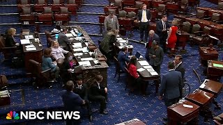 Senate vote on bipartisan border and national security bill fails [upl. by Eittak141]