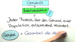 Gendrift  Biologie  Evolution [upl. by Vivyanne]