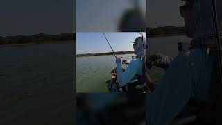 FISH TEXASBOERNE LAKE boernetexas kayakbassfishing basslake berkleyfishing texastown [upl. by Grearson]