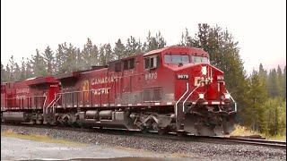 CPKC potash train heading through the Canadian Rockies at Lake O’Hara on a rainy day in the Summer [upl. by Yleve]