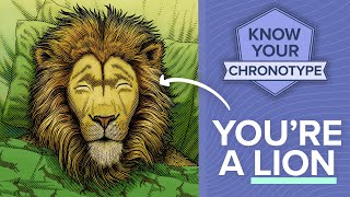 The truth about the Lion chronotype [upl. by Mccall]