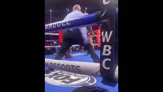 Ringside Angle of Tyson Fury Knocking Wilder Down 3 Times Finishes Him In Highlight Fashion shorts [upl. by Lohcin307]