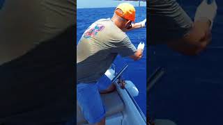 Catching Giant Greater Amberjack in 1 Hour fishing giant [upl. by Adnahsal]