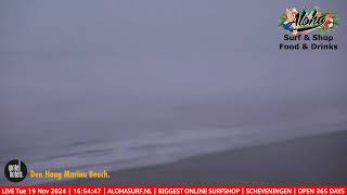 Aloha Beachclub Surfschool amp Surfshop De Zuid Webcam [upl. by Akiraa]