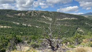 video teton county MT [upl. by Eilrahs116]