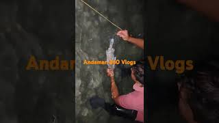 Andaman 360 Vlogs music beach love travel andaman fishing andamansea [upl. by Cirre]