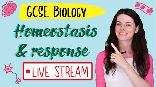 GCSE Biology Paper 2  Homeostasis amp Response LIVE STREAM 2019 [upl. by Lippold]