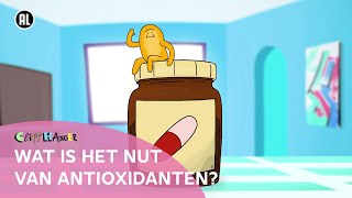 Wat zijn antioxidanten [upl. by Alyahs830]