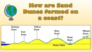 How are Sand Dunes formed on a coast  Labelled diagram and explanation [upl. by Lucine518]