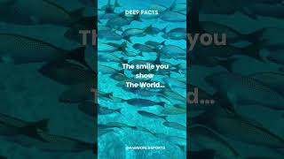 The smile you show the worldshortsdeepfactssubscribe [upl. by Kensell]