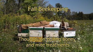 Fall Beekeeping Preparing for Winter Part 1 [upl. by Ybeloc]