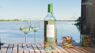 ☀️ Un goût dété bordelais le vin blanc sec de Bordeaux [upl. by Ahsener]