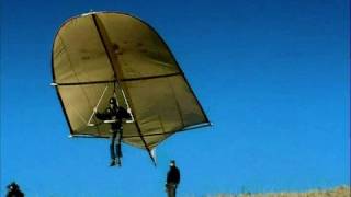 Leonardo da Vinci Glider  reality test Rate My Science [upl. by Tabby]