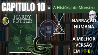 Harry Potter e as Relíquias da Morte ⚡ CAPITULO 10 Audiolivro em PTBR [upl. by Vally]