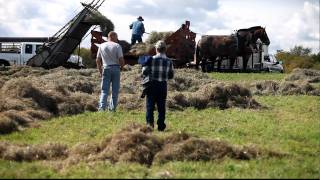 Horse Drawn Hay Loader [upl. by Fablan843]