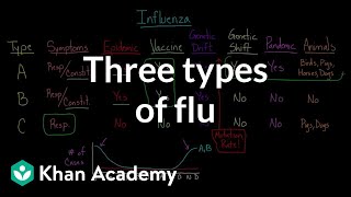 Three types of flu  Infectious diseases  Health amp Medicine  Khan Academy [upl. by Artemisa44]