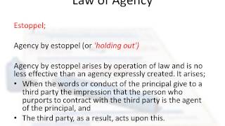 Law of Agency in Ireland [upl. by Alimhaj]