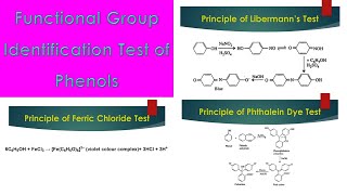 Qualitative Test of Phenols [upl. by Fulbert]