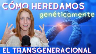 GENÉTICA y EPIGENÉTICA o cómo heredamos los traumas transgeneracionales [upl. by Yank]