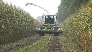 Loonbedrijf H van Haarst met Claas Jaguar 850 Speedstar in de mais 2015 [upl. by Ynehteb695]