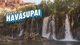 Exploring Havasupais INCREDIBLE Waterfalls  Havasu Falls  Descending Mooney Falls [upl. by Darsey]