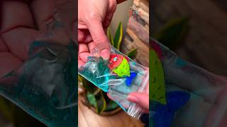 🐠 DIY AntiStress Squeeze Bag Relax with Moving Fish Craft Tutorial 🎨✂️ diy craft handmade fun [upl. by Shulem]