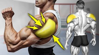 5 Best Rear Delt Exercises Expert Tips [upl. by Arita772]