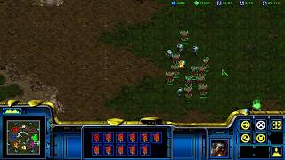 Medics Healing Infested Terran  Bonus Explosion [upl. by Widera]