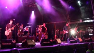 THE UNDERTONES  Teenage kicks live Benicassim Festival  FIB 1572011 [upl. by Seuqirdor]