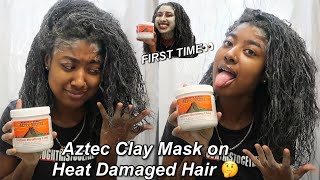 I Tried AZTEC CLAY MASK on my HEAT DAMAGED NATURAL HAIR for the FIRST TIME amp THIS HAPPENED [upl. by Hemphill120]