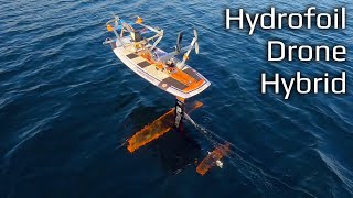 Drone Motors on a Hydrofoil Surfboard [upl. by Leopold]