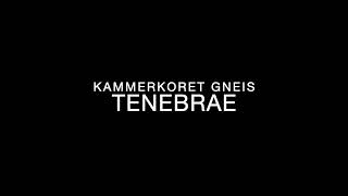 Kammerkoret GNEIS TENEBRAE HD 720p [upl. by Maurey]