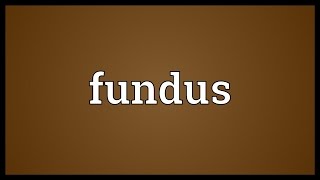 Fundus Meaning [upl. by Akkinahs]