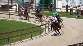 Palio di Legnano 2024 corse di addestramento  Settima batteria [upl. by Sadnac]