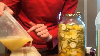 Preserving lemons and limes freezing juice [upl. by Ocicnarf]