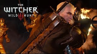 The Witcher 3 Wild Hunt  Official Gameplay 35 min [upl. by Ynoble]