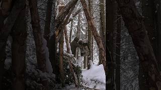 Making a Bowsaw🪚 bushcraft outdoors survival camping [upl. by Seyler]