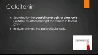 Calcitonin Physiology [upl. by Xonnel]