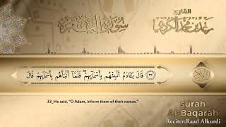 SURAH ALBAQARAH  NO ADS  beautiful Quran Recitation NoAds [upl. by Joshia882]