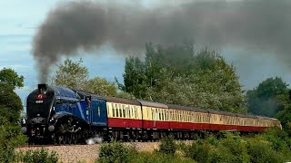 60007 Sir Nigel Gresley on the Devonshire Banks  The Golden Hind 24823 [upl. by Whitney]