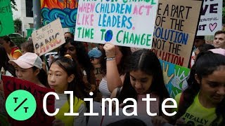 Global Climate Strike Protesters Rally Around the World for Action on Climate Change [upl. by Katt]