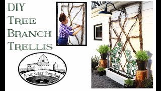 DIY Tree Branch Trellis [upl. by Pickens501]