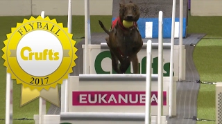 Flyball  Team Semi Finals Part 2  Crufts 2017 [upl. by Ecirual905]