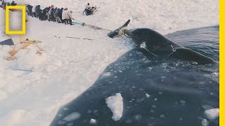 Experience a Traditional Whale Hunt in Northern Alaska  Short Film Showcase [upl. by Aohk]