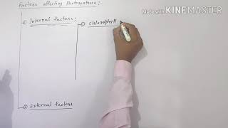 Factors affecting photosynthesis [upl. by Eldridge]